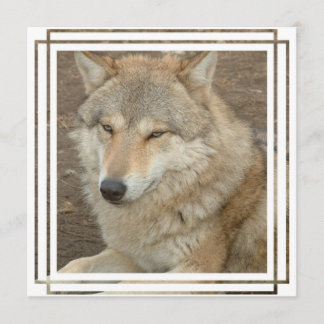 Wolf Invitation