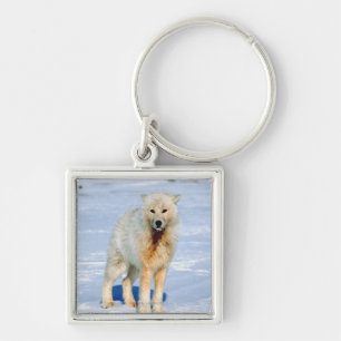 Wolf Key Ring