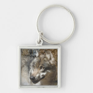 wolf key ring