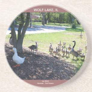 WOLF LAKE COASTER