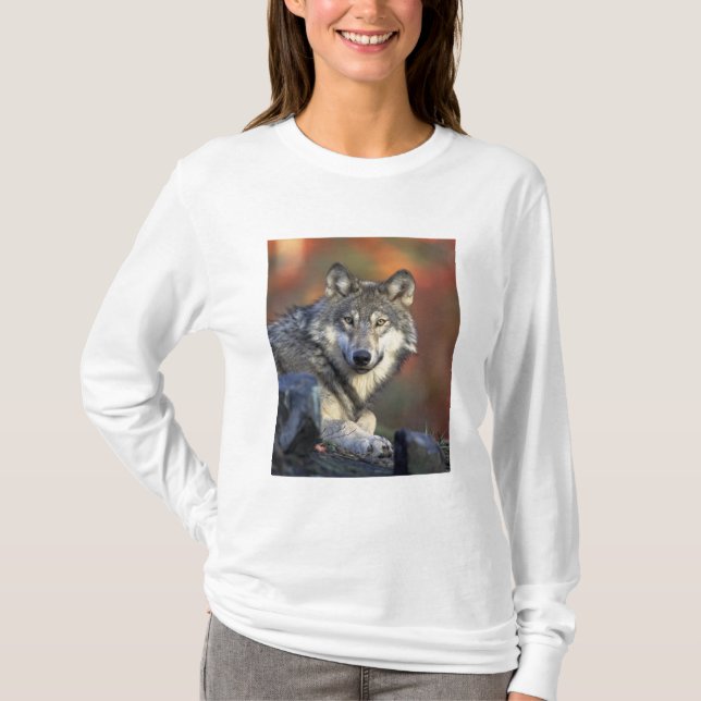 Wolf Lovers Art T-Shirt (Front)