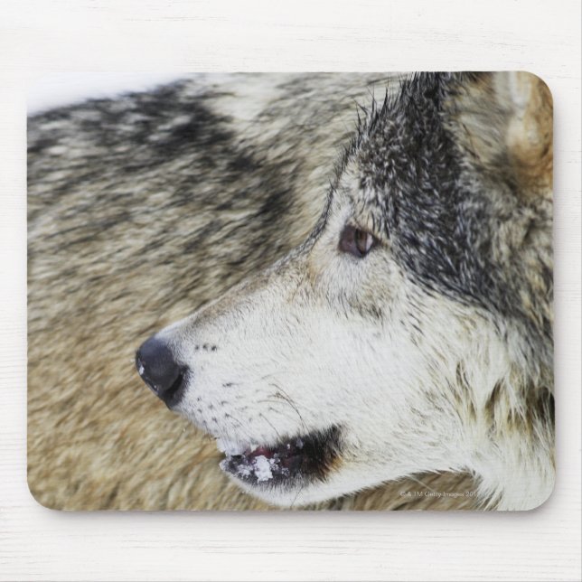 Wolf Mouse Pad (Front)