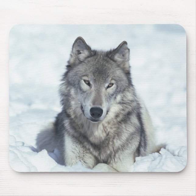 Wolf Mouse Pad (Front)