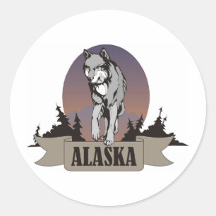 Wolf or coyote among pine trees in Alaska Classic Round Sticker