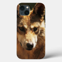 Wolf or Pet  iPhone 13 Case