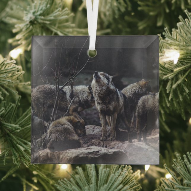 Wolf Pack Glass Tree Decoration (Insitu)