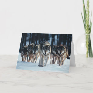 Wolf Pack Greeting Card