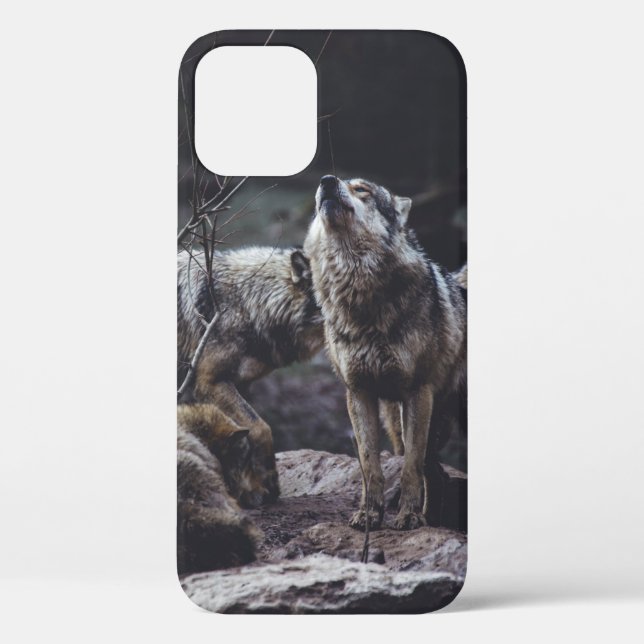 WOLF PACK ON ROCK FORMATION Case-Mate iPhone CASE (Back)