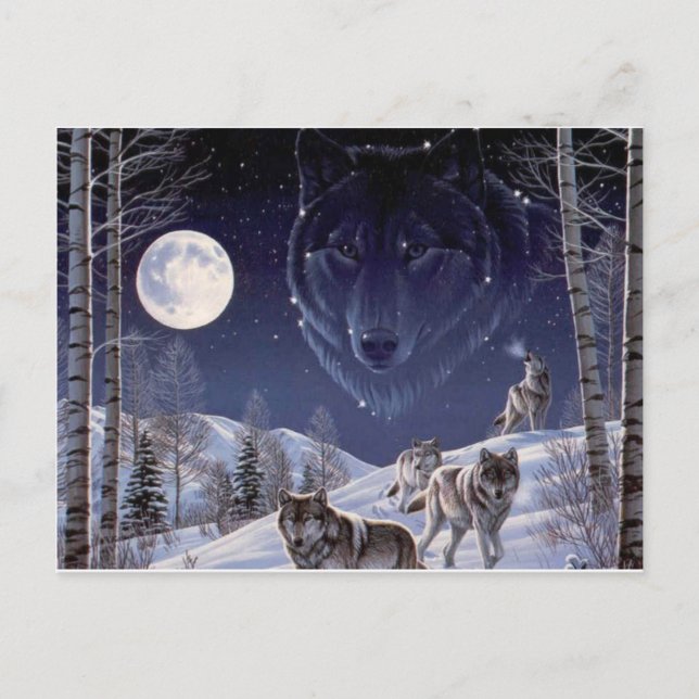 Wolf Pack Postcard (Front)