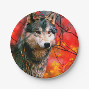 Wolf peeking through leaves in a forest paper plate