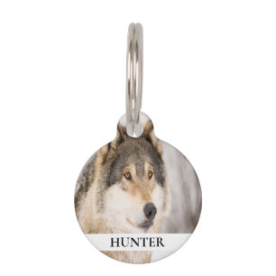 Wolf pet dog photo your animal fun name pet tag