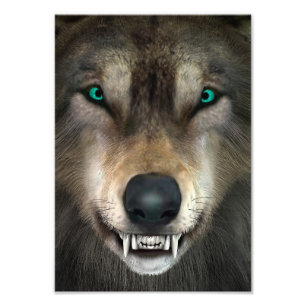 Wolf Photo Print