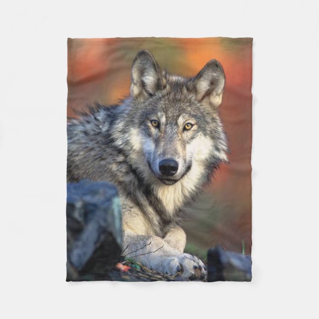 Wolf Photograph Fleece Blanket (Front)