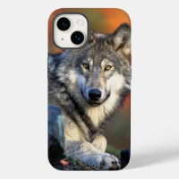 Wolf Photograph Image