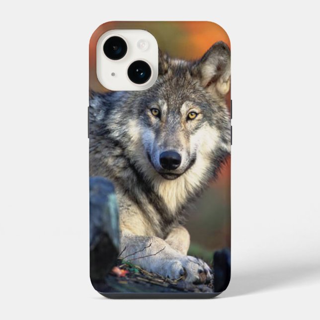 Wolf Photograph Image iPhone Case (Back)