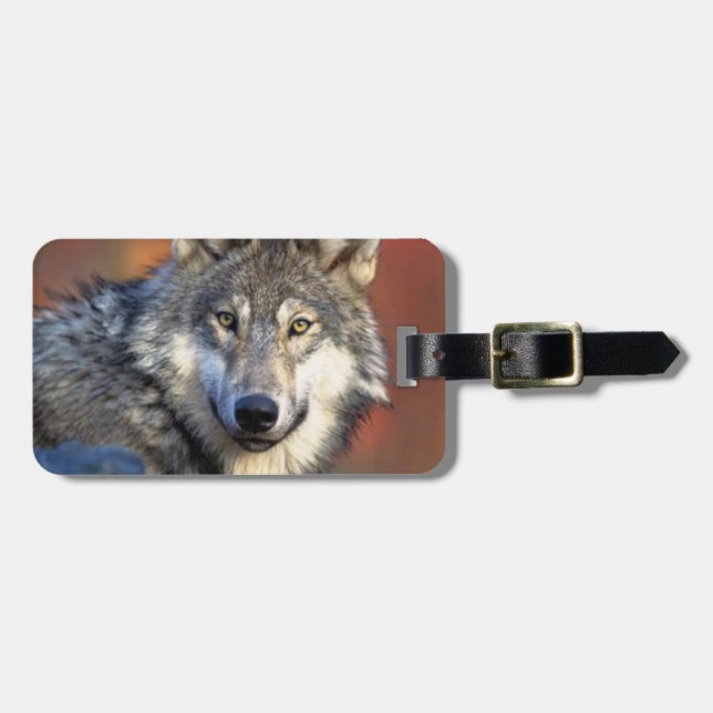 Wolf Photograph Luggage Tag (Front Horizontal)