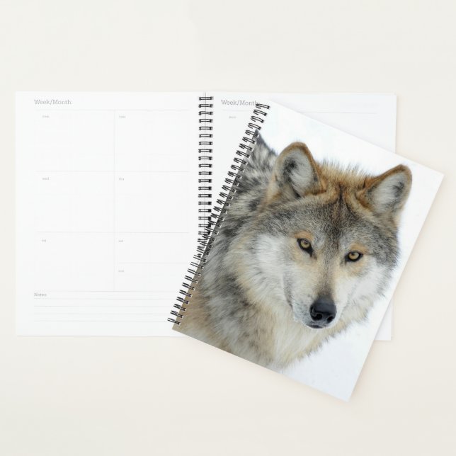 Wolf Planner (Display)