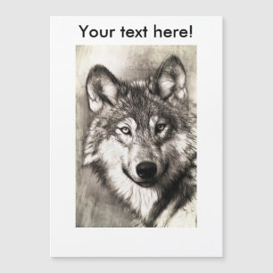 Wolf portrait