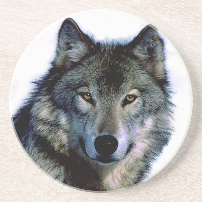 Wolf Portrait Coaster (Front)