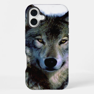 Wolf Portrait iPhone 16 Plus Case