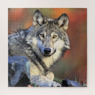 Wolf Portrait Jigsaw Puzzle