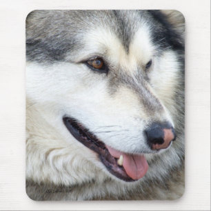 Wolf Portrait Mouse Pad