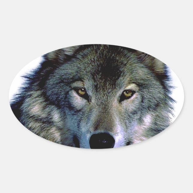 Wolf Portrait Oval Sticker (Front)