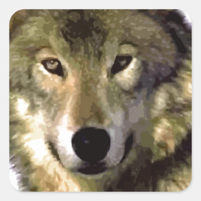Wolf Portrait Square Sticker (Front)