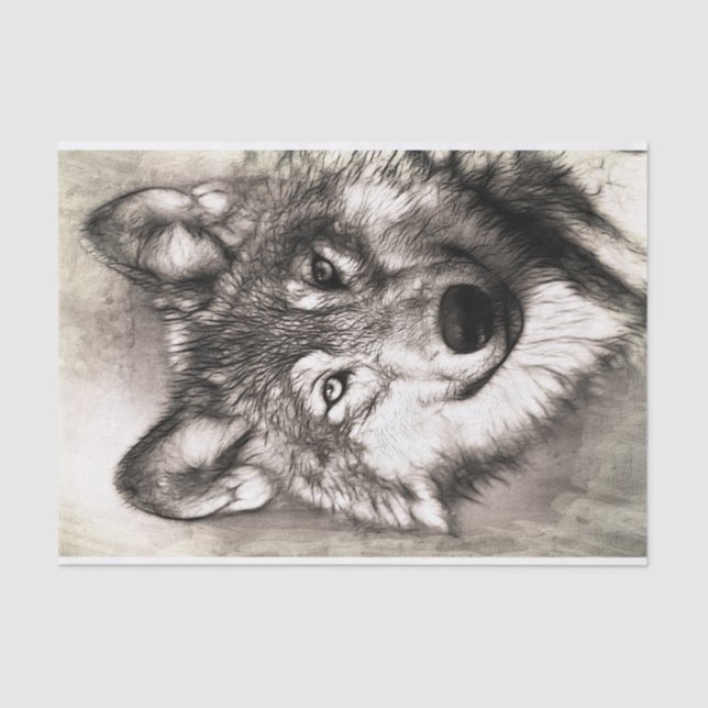 Wolf portrait tissue paper (Front)