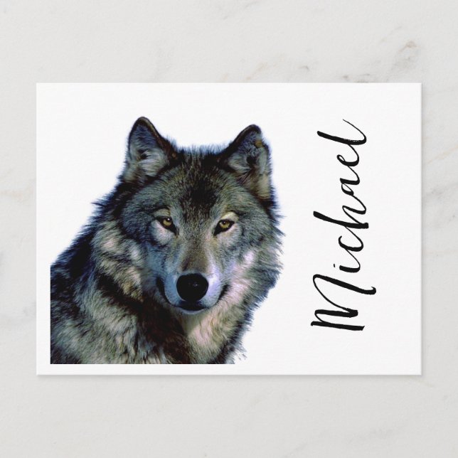 Wolf Portrait Your Name Custom Handwriting Postcard (Front)