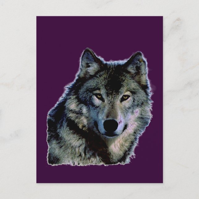 Wolf Postcard (Front)