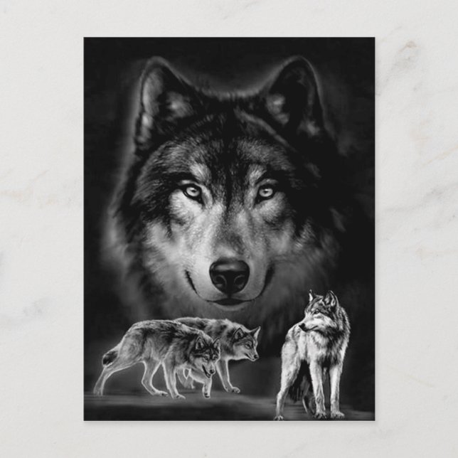 wolf postcard (Front)