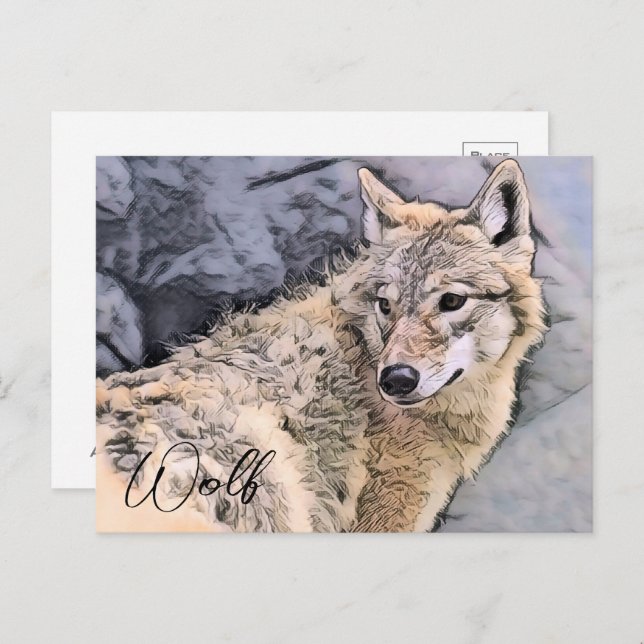 Wolf Postcard (Front/Back)