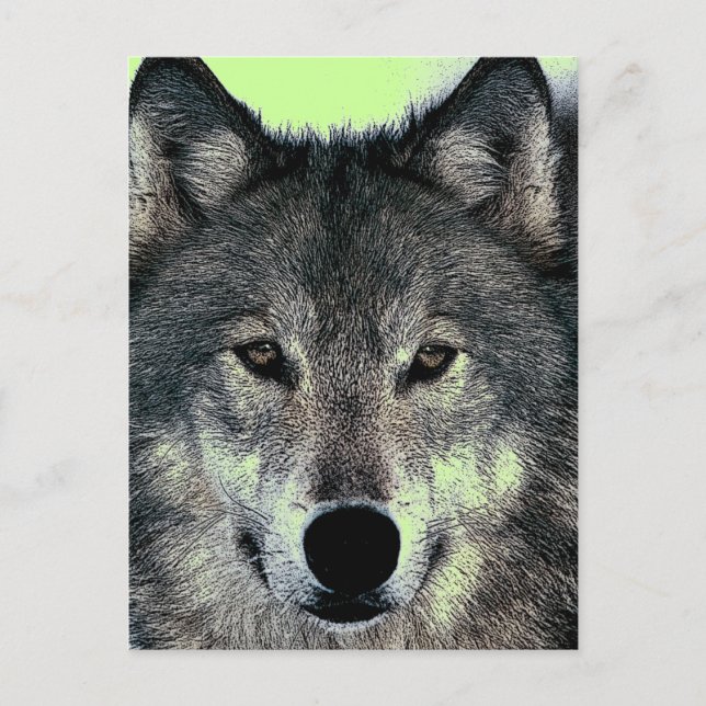 Wolf Postcard (Front)