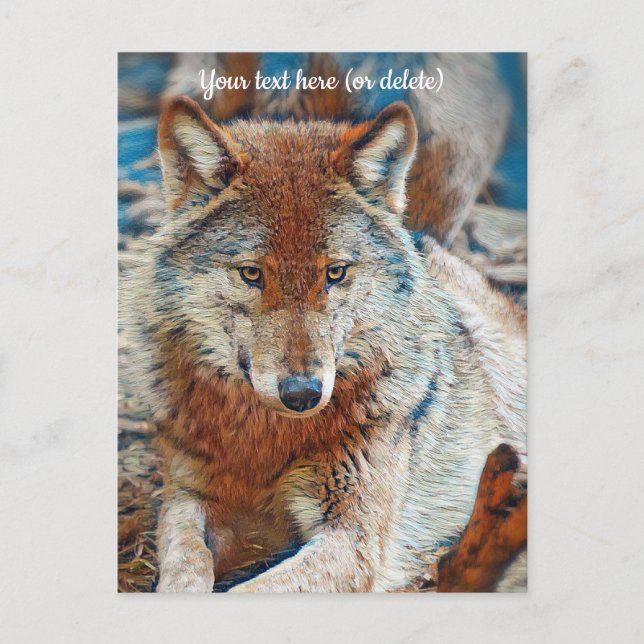 Wolf Postcard (Front)