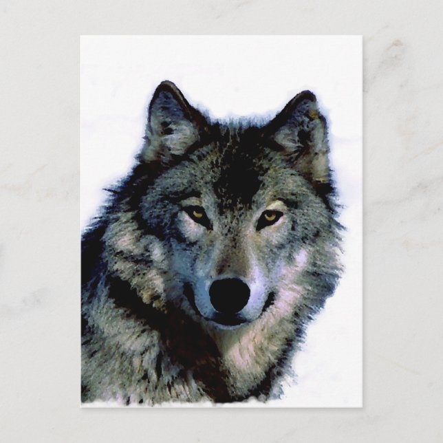 Wolf Postcard (Front)