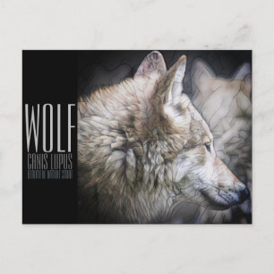 Wolf [Postcard] Postcard
