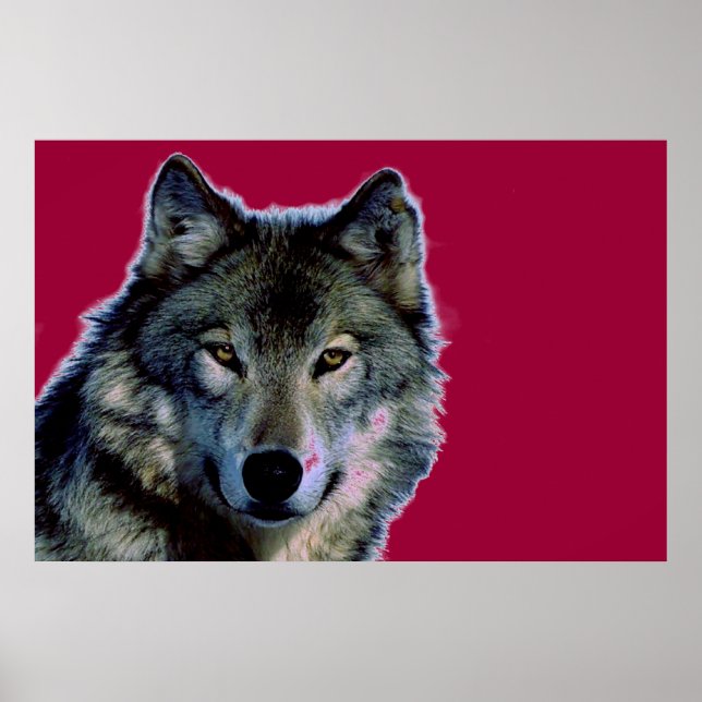 Wolf Poster (Front)