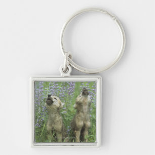 Wolf Puppies Howling In Meadow Key Ring