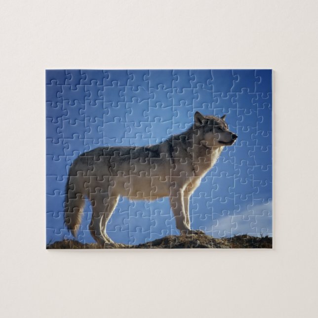 Wolf Puzzle (Horizontal)