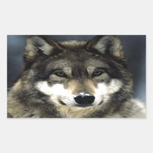 Wolf Rectangular Sticker
