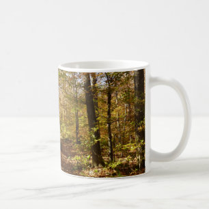 Wolf Rocks Trail in Autumn Pennsylvania Landscape Coffee Mug