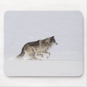 Wolf running in the snow 2 mouse pad