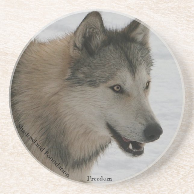 Wolf Sandstone Drink Coasters (Front)