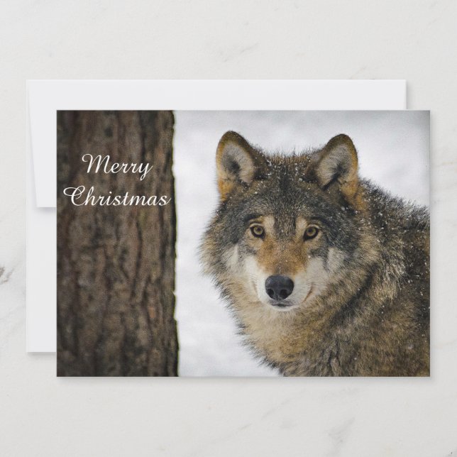 Wolf Snow Tree Photo Christmas Flat Holiday Card (Front)