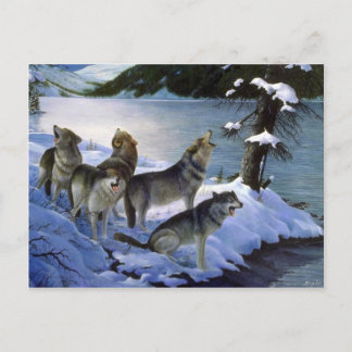 Wolf song, Wolves Postcard