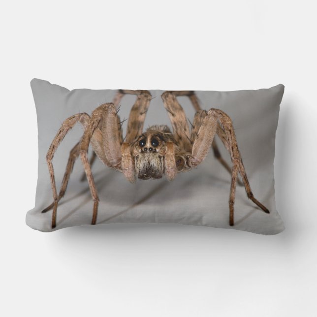 Wolf Spider Lumbar Cushion (Front)