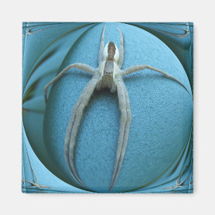 Wolf Spider ~ magnet
