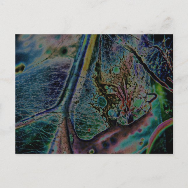 Wolf Spider Nebula Postcard (Front)