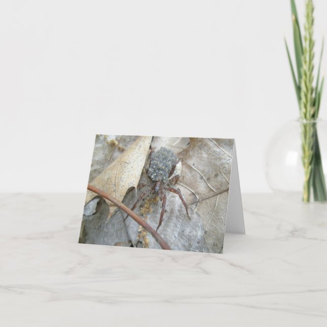 Wolf Spider with Babies on Back Note Card (Front)